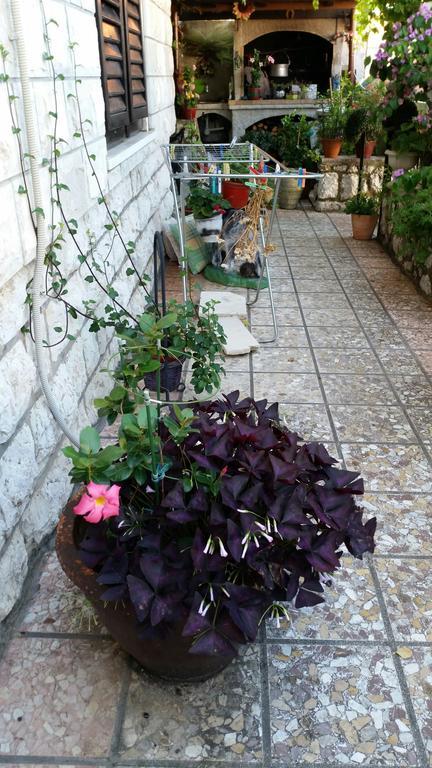 Guesthouse Ivona Dubrovnik Habitación foto