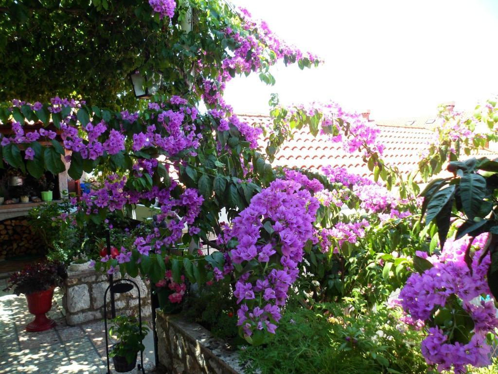 Guesthouse Ivona Dubrovnik Habitación foto